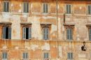 Rome 25